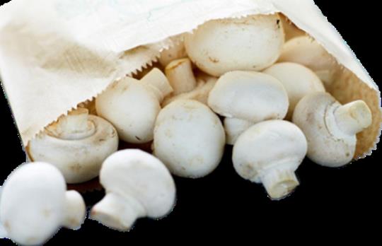 蘑菇的功效与作用  蘑菇的功效与作用以及营养价值